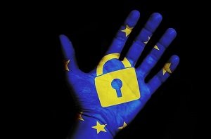 GDPR Data Subject Rights, Remedies, and Terminology